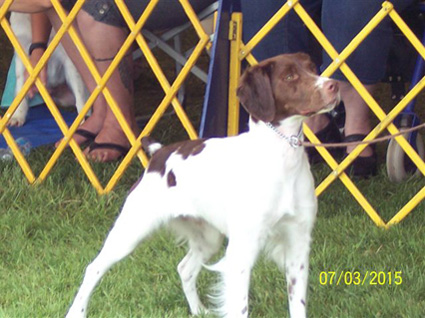 Mila Monroe dog show